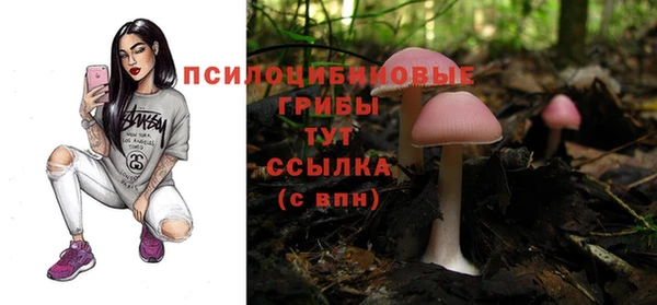 бошки Лиски