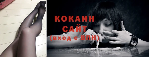 Альфа ПВП Магас