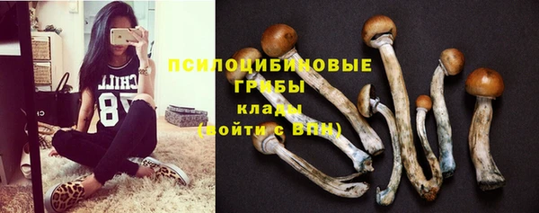 синтетический гашиш Туринск
