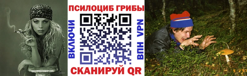 кракен как войти  Усть-Кут  Псилоцибиновые грибы ЛСД 